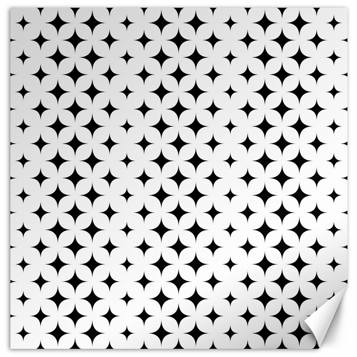 Pattern-whit Star Black Canvas 20  x 20 