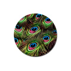 Peacock Feathers Color Plumage Magnet 3  (round) by Celenk