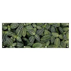 Leaves Foliage Botany Plant Banner And Sign 8  X 3 