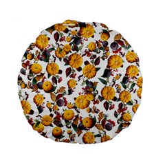 Pumpkin Fruit Flower Pattern Standard 15  Premium Flano Round Cushions