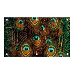 Peacock Feathers Banner And Sign 5  X 3 