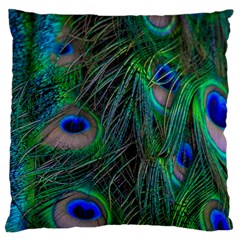Beautiful Peacock Feathers Large Cushion Case (two Sides) by Ravend