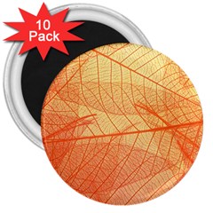 Orange Leaf Texture Pattern 3  Magnets (10 Pack) 