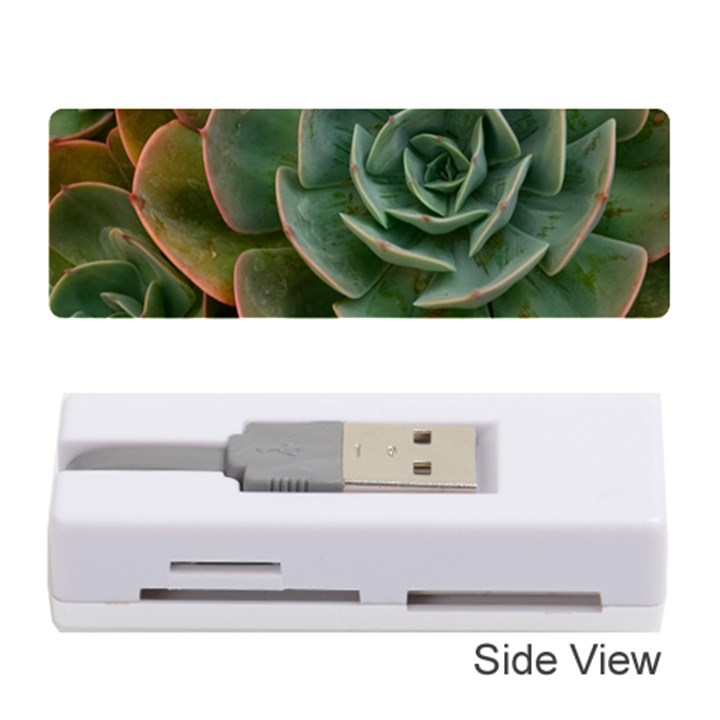 Green Orchid Plant Pattern Memory Card Reader (Stick)