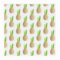 Succulent Vases  Medium Glasses Cloth (2 Sides) by ConteMonfrey