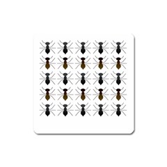 Ant Insect Pattern Cartoon Ants Square Magnet