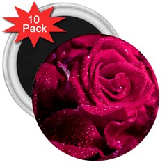 Water Rose Pink Background Flower 3  Magnets (10 Pack)  by Ravend