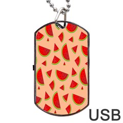 Fruit-water Melon Dog Tag Usb Flash (one Side) by nateshop