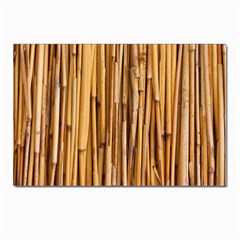 Asian Background Bamboo Postcards 5  X 7  (pkg Of 10) by Wegoenart