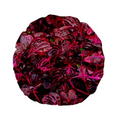 Red Leaves Plant Nature Leaves Flora Foliage Standard 15  Premium Flano Round Cushions by danenraven