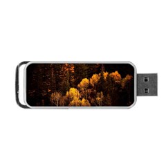 Autumn Fall Foliage Forest Trees Woods Nature Portable Usb Flash (two Sides) by danenraven