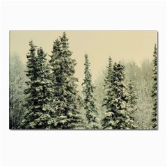Winter Snow Frost Landscape Forest Trees Woods Postcards 5  X 7  (pkg Of 10) by danenraven