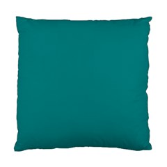 Color Teal Standard Cushion Case (one Side) by Kultjers