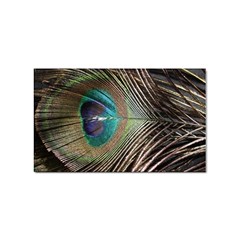 Peacock Sticker Rectangular (100 Pack)