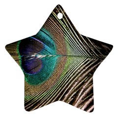 Peacock Star Ornament (two Sides)