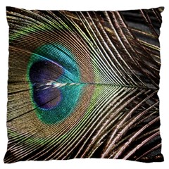 Peacock Large Premium Plush Fleece Cushion Case (two Sides)