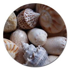 Beautiful Seashells  Magnet 5  (round) by StarvingArtisan