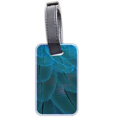 Beautiful Plumage Luggage Tag (two Sides) by artworkshop