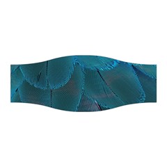 Beautiful Plumage Stretchable Headband by artworkshop