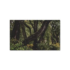 Botanical Motif Trees Detail Photography Sticker Rectangular (10 Pack) by dflcprintsclothing