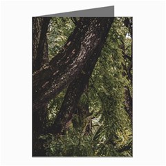 Botanical Motif Trees Detail Photography Greeting Cards (pkg Of 8) by dflcprintsclothing