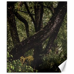 Botanical Motif Trees Detail Photography Canvas 20  X 24  by dflcprintsclothing