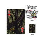 Botanical Motif Trees Detail Photography Playing Cards 54 Designs (Mini) Front - Heart8