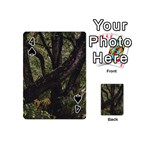 Botanical Motif Trees Detail Photography Playing Cards 54 Designs (Mini) Front - Spade4