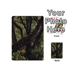 Botanical Motif Trees Detail Photography Playing Cards 54 Designs (Mini) Back