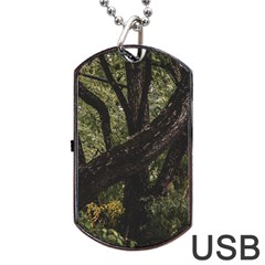 Botanical Motif Trees Detail Photography Dog Tag Usb Flash (two Sides) by dflcprintsclothing