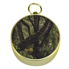 Botanical Motif Trees Detail Photography Gold Compasses by dflcprintsclothing