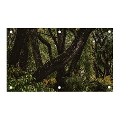 Botanical Motif Trees Detail Photography Banner And Sign 5  X 3  by dflcprintsclothing
