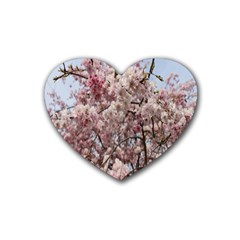 Almond Tree Flower Rubber Coaster (heart) by artworkshop