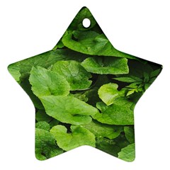 Layered Plant Leaves Iphone Wallpaper Star Ornament (two Sides) by artworkshop