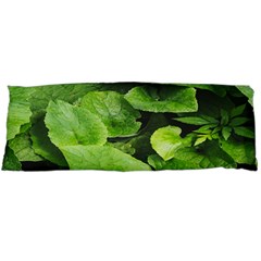 Layered Plant Leaves Iphone Wallpaper Body Pillow Case (dakimakura) by artworkshop