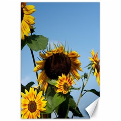 Sunflower Flower Yellow Canvas 20  X 30  by artworkshop