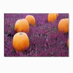  Autumn Decoration Autumn Flowers Autumn Plant Postcards 5  X 7  (pkg Of 10) by artworkshop