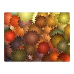 Flower Flora Decoration Pattern Drawing Floral Premium Plush Fleece Blanket (Mini)