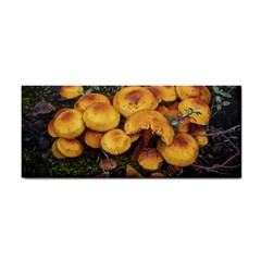 Orange Mushrooms In Patagonia Forest, Ushuaia, Argentina Hand Towel by dflcprintsclothing