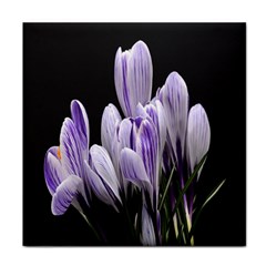 Crocus Flowers Purple Flowers Spring Nature Face Towel