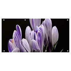 Crocus Flowers Purple Flowers Spring Nature Banner And Sign 8  X 4 