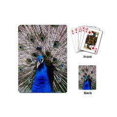 Peacock Bird Animal Feather Nature Colorful Playing Cards Single Design (mini)