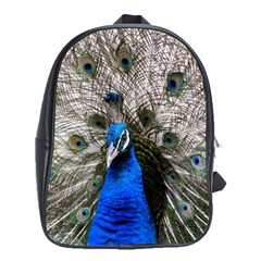 Peacock Bird Animal Feather Nature Colorful School Bag (xl)