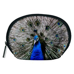 Peacock Bird Animal Feather Nature Colorful Accessory Pouch (medium) by Ravend