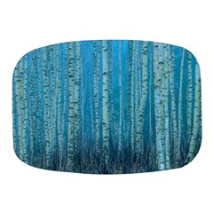 Forest Birch Nature Autumn Masuria Mini Square Pill Box by Ravend