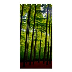 Green Forest Jungle Trees Nature Sunny Shower Curtain 36  X 72  (stall) 