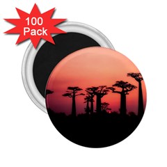 Baobabs Trees Silhouette Landscape Sunset Dusk 2 25  Magnets (100 Pack)  by Jancukart