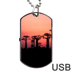 Baobabs Trees Silhouette Landscape Sunset Dusk Dog Tag Usb Flash (one Side) by Jancukart