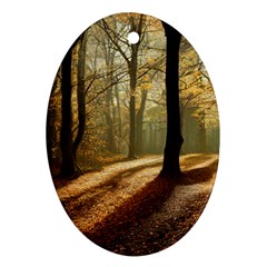 Autumn Nature Woodland Woods Trees Ornament (oval)