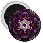 Rosette Kaleidoscope Mosaic Abstract Background Art 3  Magnets